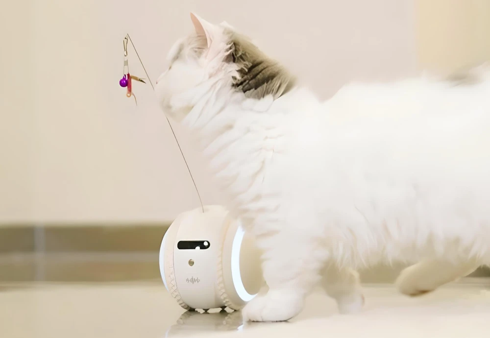 pet robot camera