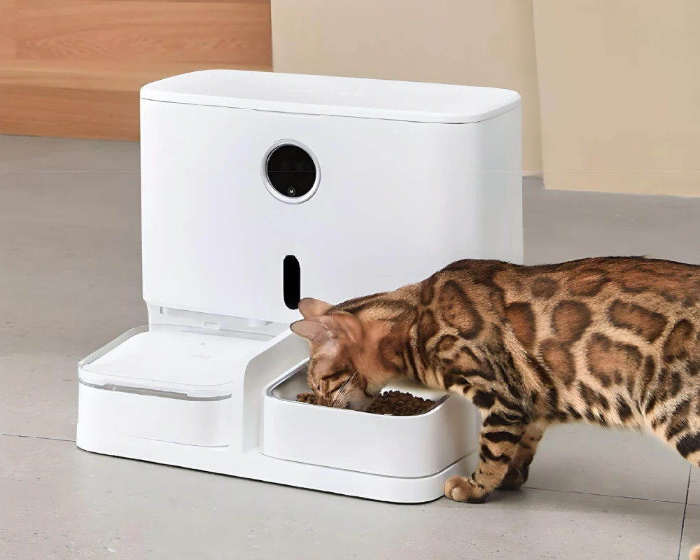 automatic feeder with camera