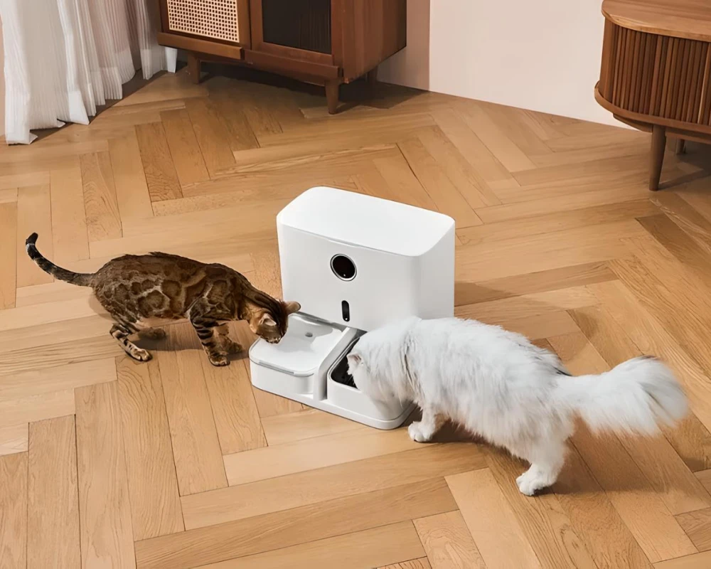 automatic pet feeder bowl